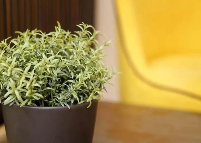 Limani Comfort * Saloniki